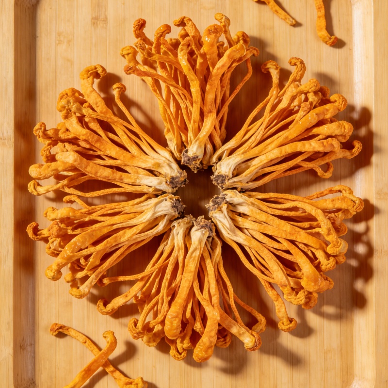 High-quality Dry Cordyceps Flo - Baby Products Soap 리뷰 및 가격