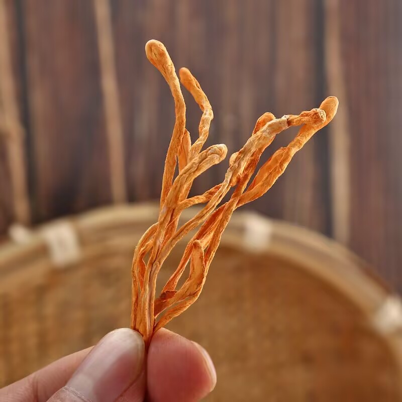 High-quality Dry Cordyceps Flo - Baby Products Soap 리뷰 및 가격